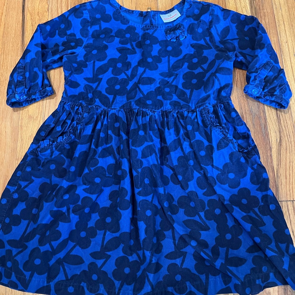 Hanna Andersson Blue Puff Sleeve Casual Dress